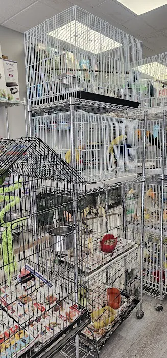 Chicago Pet Store Picture 4