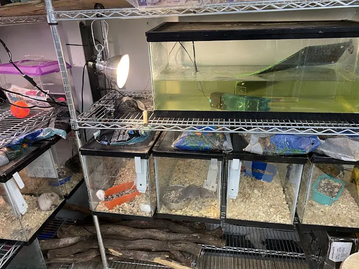 Chicago Pet Store Picture 3