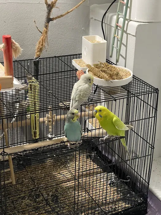 Chicago Pet Store Picture 5