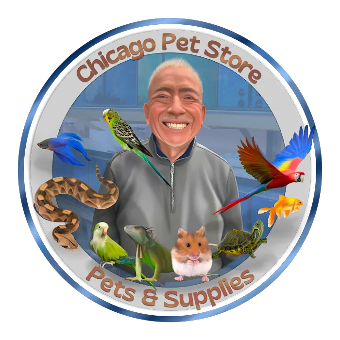 Chicago Pet Store Picture 10