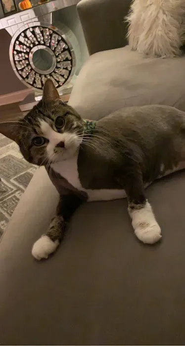 Acuario Piscis Picture 2