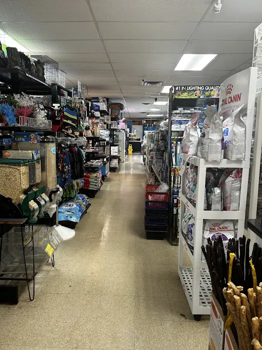 Acuario Piscis Picture 5