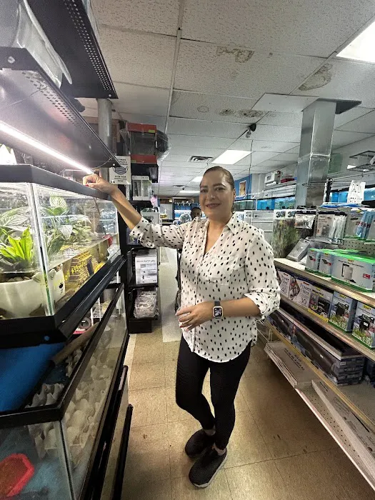 Acuario Piscis Picture 6