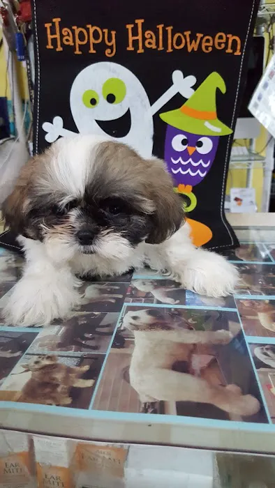 Acuario Piscis Picture 8