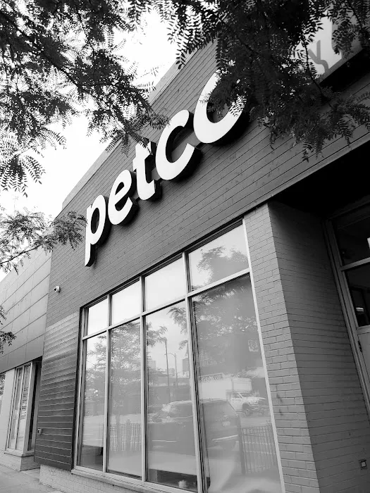 Petco Picture 4