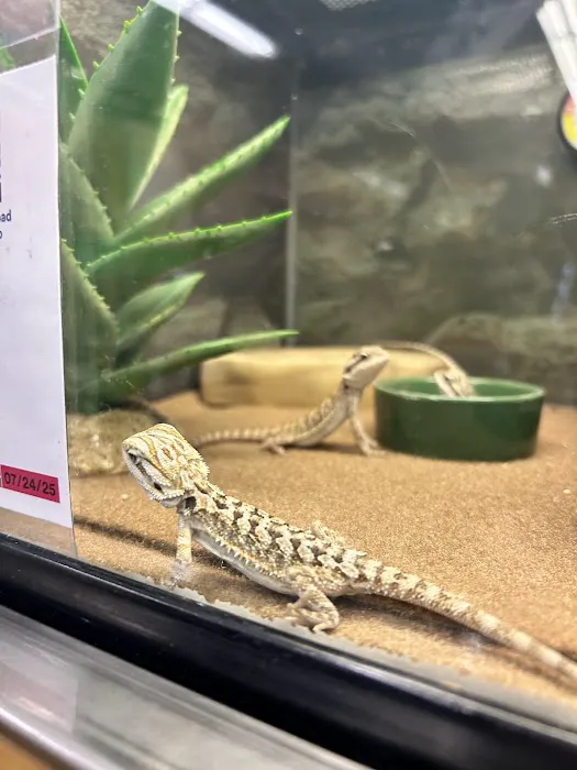 Petco Picture 1