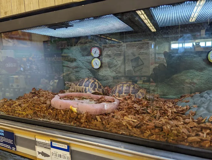 Petco Picture 9