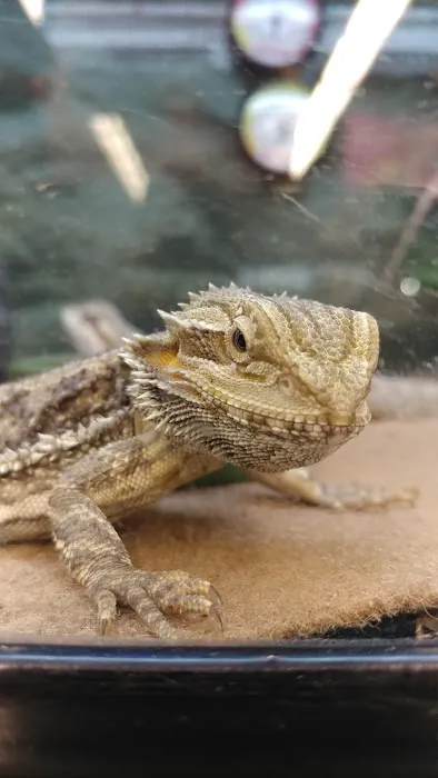 Petco Picture 5