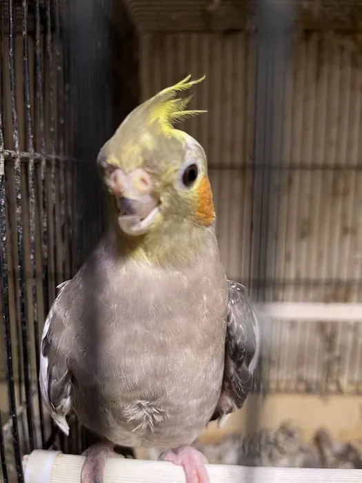 Snails To Tails Picture 1