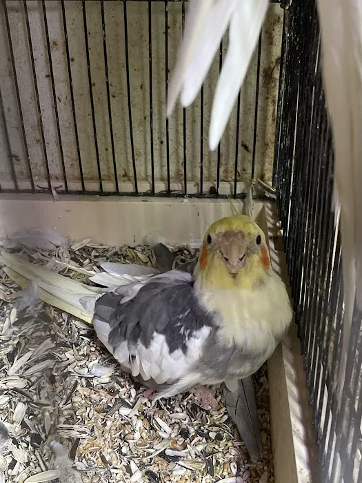 Snails To Tails Picture 2