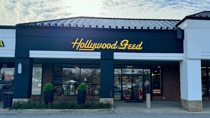 Hollywood Feed Picture 10