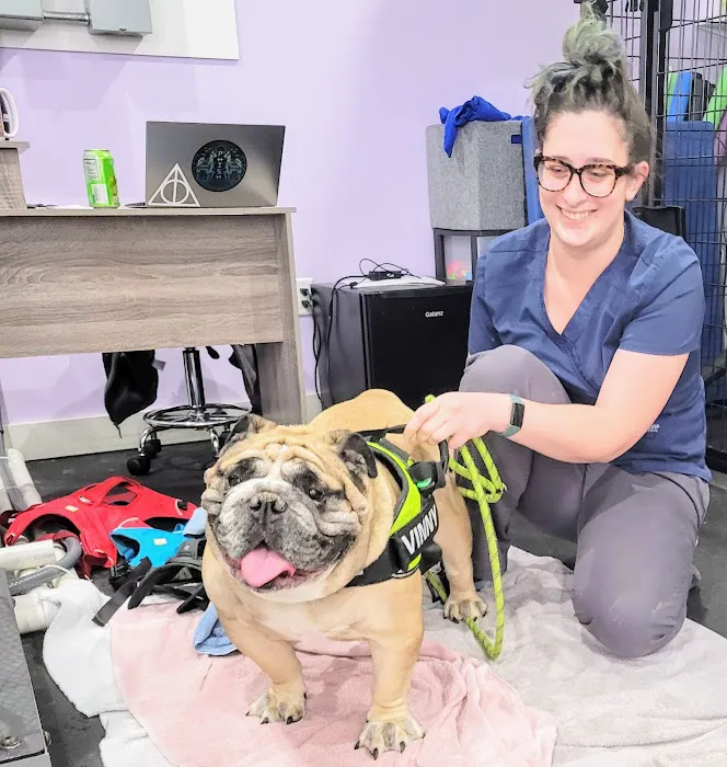Veterinary Specialty Center of Sturbridge Picture 8