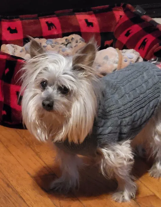 Sturbridge Veterinary Hospital Picture 5