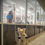Petco