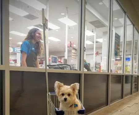 Petco
