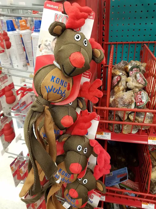 Petco Picture 3