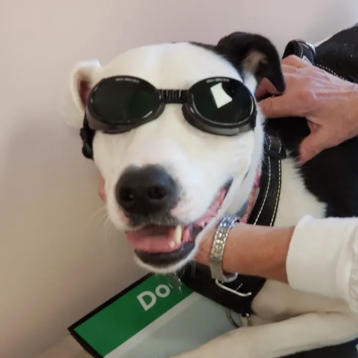 Hilltop Animal Clinic Picture 4