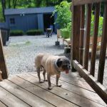 Hilltop Animal Clinic