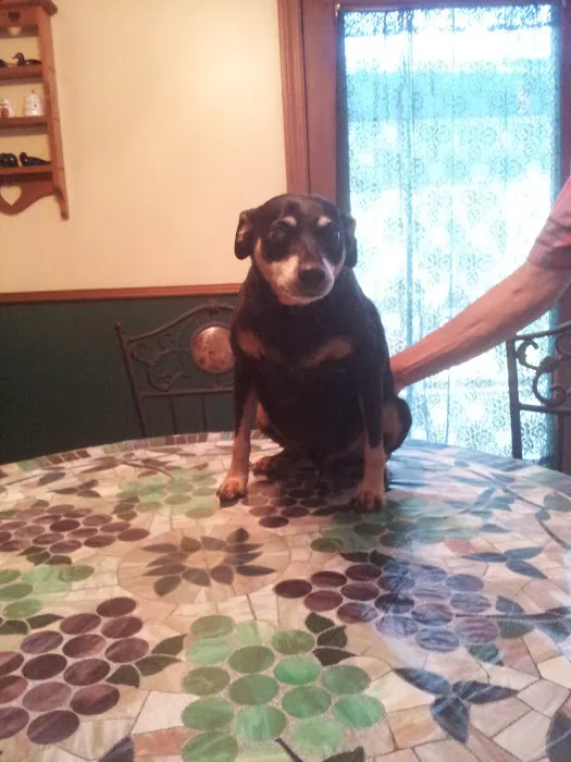 Hilltop Animal Clinic Picture 6