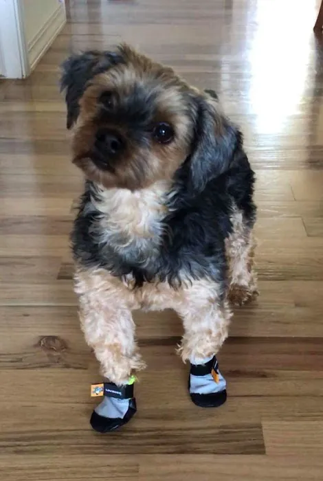 Saltsox Picture 1