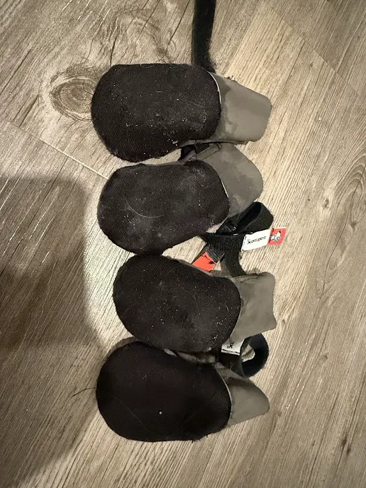 Saltsox Picture 3