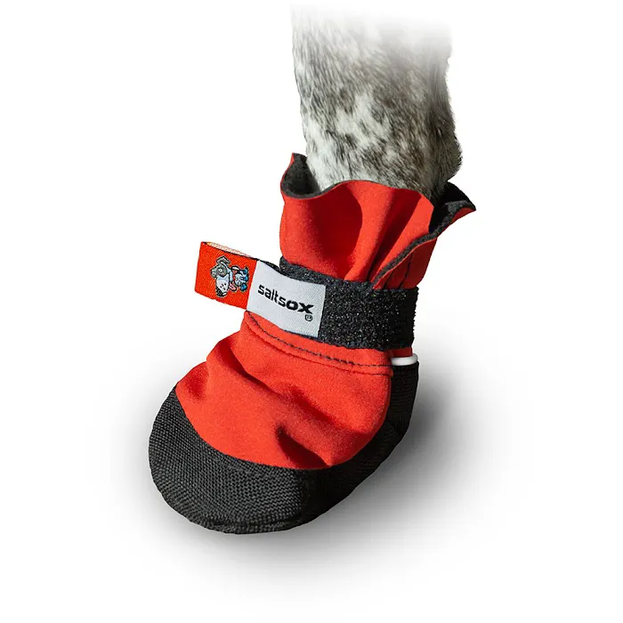 Saltsox Picture 8