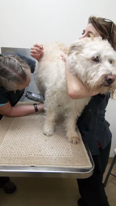 Westside Animal Clinic, A Thrive Pet Healthcare Partner Picture 3