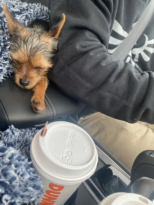 Spencer Veterinary Hospital, LLC Picture 3