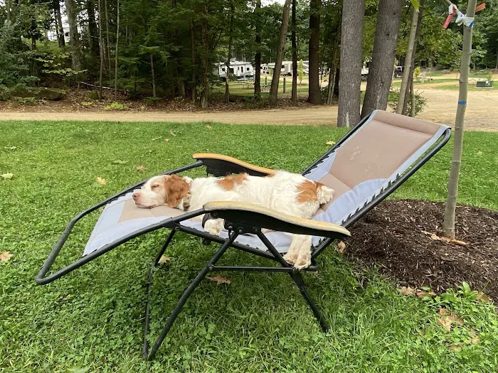 Spencer Veterinary Hospital, LLC Picture 5