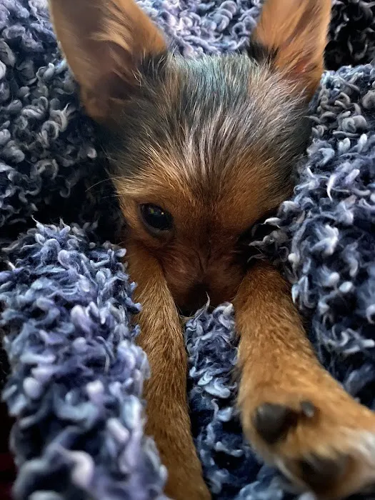 Spencer Veterinary Hospital, LLC Picture 6