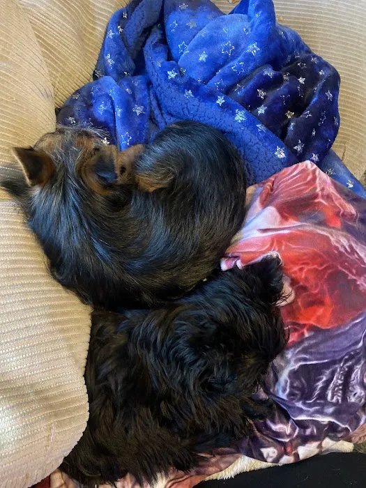 Spencer Veterinary Hospital, LLC Picture 4