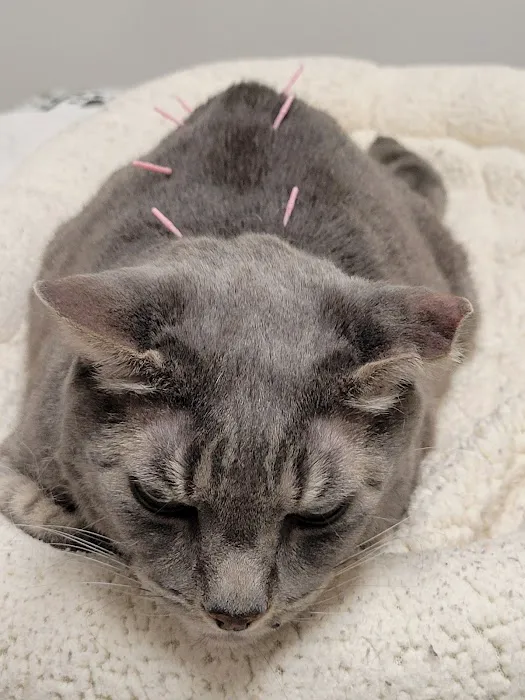 Spencer Veterinary Hospital, LLC Picture 1