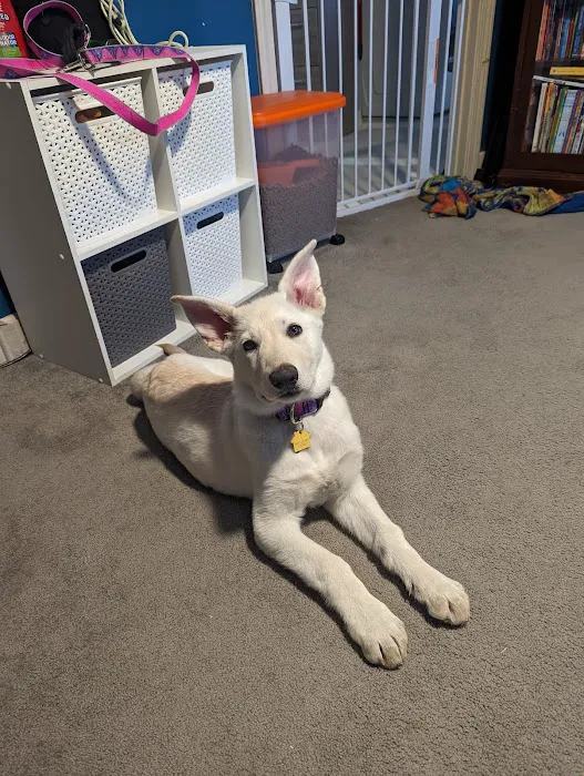 Spencer Veterinary Hospital, LLC Picture 10