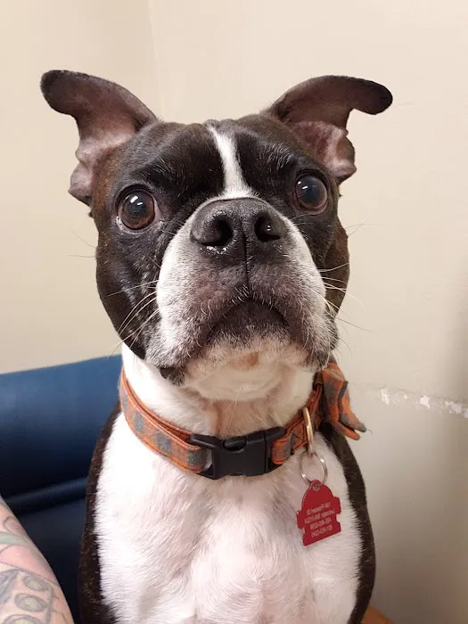 Spencer Veterinary Hospital, LLC Picture 9