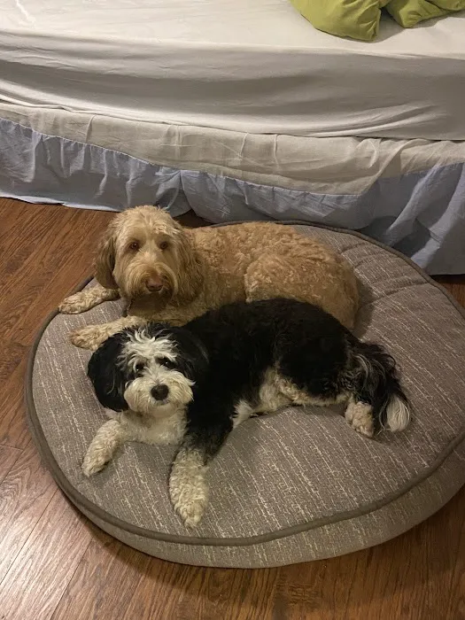 Kriser's Natural Pet Picture 5