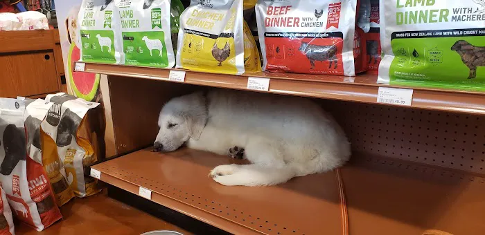 Kriser's Natural Pet Picture 10