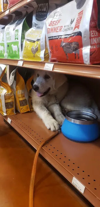 Kriser's Natural Pet Picture 8