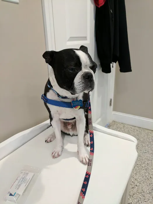 Riverlin Animal Hospital, LLC Picture 2