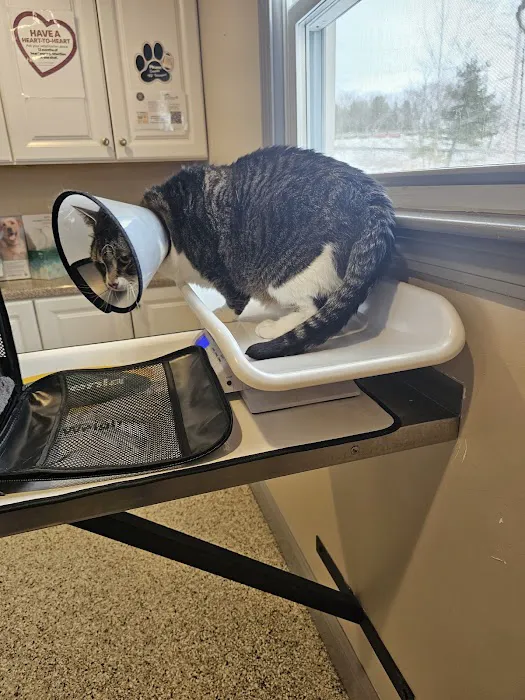 Riverlin Animal Hospital, LLC Picture 3