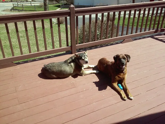 Riverlin Animal Hospital, LLC Picture 5