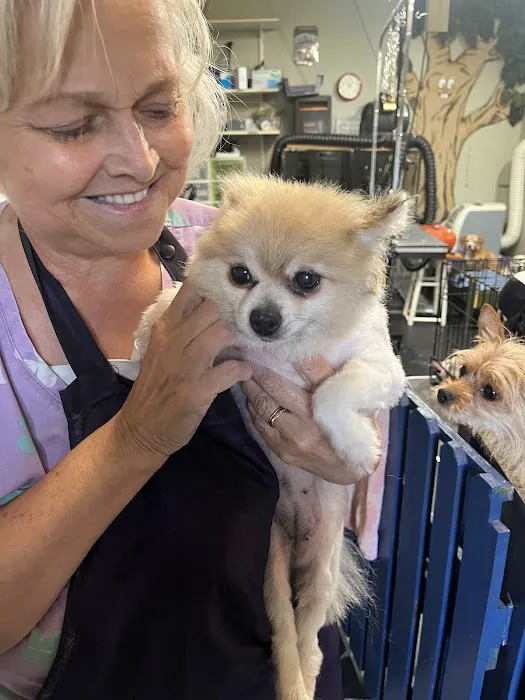 Fur Babies & Friends Picture 4