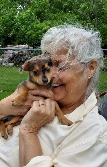 Fur Babies & Friends Picture 7