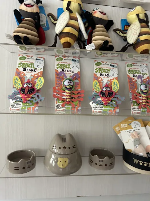 Pet Candy Veterinary Care | Avon, CT Veterinarian Picture 10