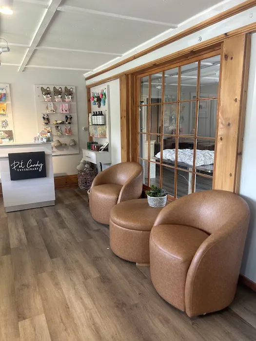 Pet Candy Veterinary Care | Avon, CT Veterinarian Picture 4