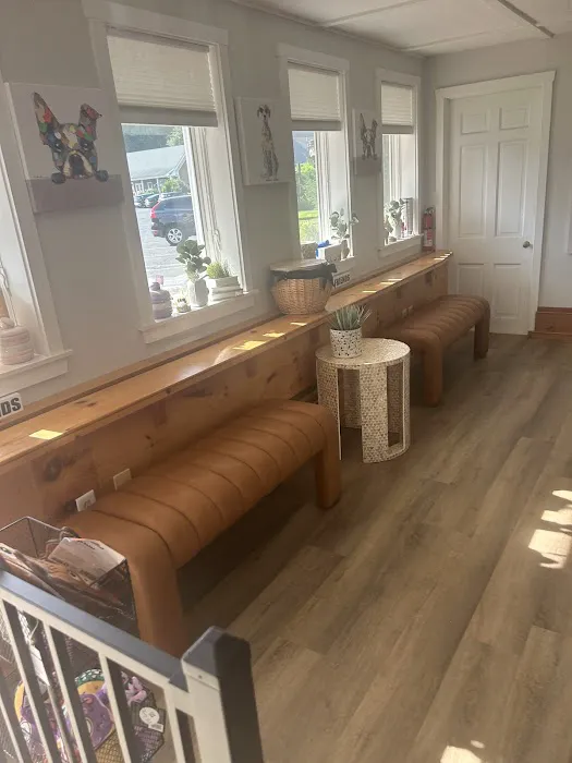 Pet Candy Veterinary Care | Avon, CT Veterinarian Picture 2