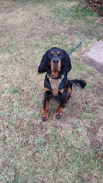 Avon Veterinary Clinic Picture 4