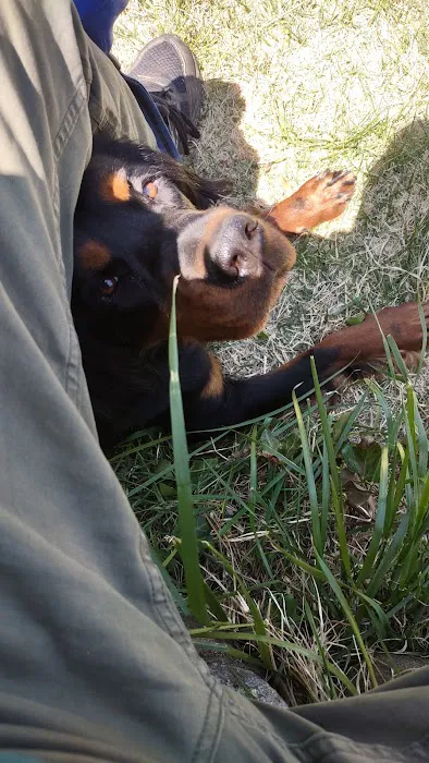 Avon Veterinary Clinic Picture 2