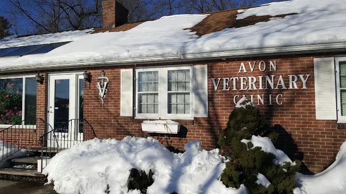 Avon Veterinary Clinic Picture 1