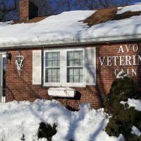 Avon Veterinary Clinic ico