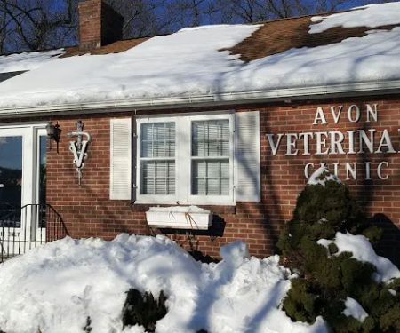 Avon Veterinary Clinic